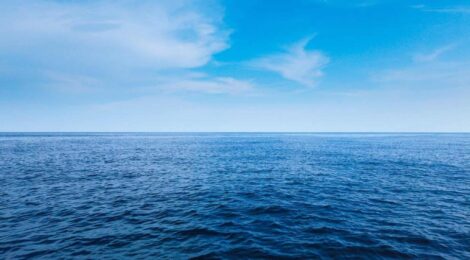 Acidez dos oceanos ameaça vida marinha