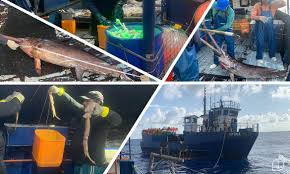 Brasil trabalha para ampliar a segurança da atividade pesqueira