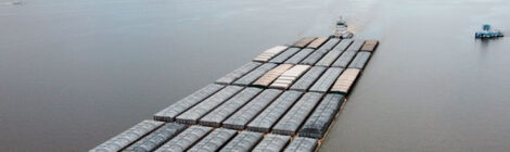 Nova via hidroviária no Rio Tocantins impulsionará navegação no Arco Norte em 2025