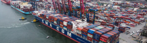 Santos Brasil encerra 2024 com lucro recorde e crescimento operacional