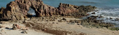 Microplásticos atingem áreas marinhas protegidas do Brasil