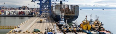 Navio-Escola atraca no Porto de Paranaguá e oferece experiência prática a universitários