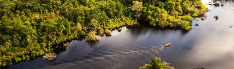 Rios amazônicos estão até quatro metros acima dos níveis registrados em 2024
