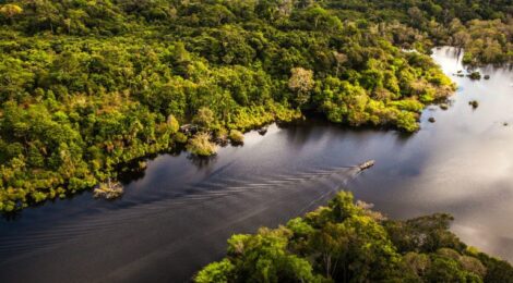 Rios amazônicos estão até quatro metros acima dos níveis registrados em 2024