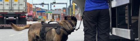 Simulado de combate ao tráfico de drogas no Porto de Paranaguá utiliza cães farejadores