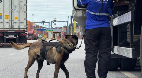 Simulado de combate ao tráfico de drogas no Porto de Paranaguá utiliza cães farejadores