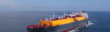 Wärtsilä renova acordo de ciclo de vida para 7 navios de GNL da TMS Cardif Gas