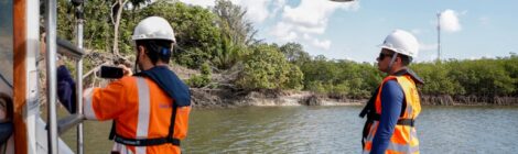 Órgão ambiental nega que dragagem em Suape tenha causado mortes de animais marinhos