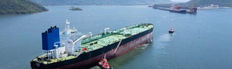 Porto Sudeste registra atracação do maior navio já operado no terminal