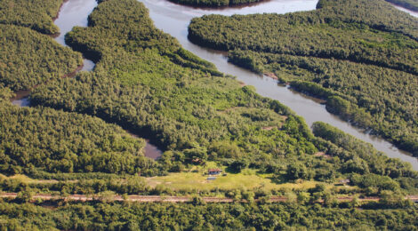 Porto de Santos abriu mão de mais de R$ 40 milhões em tarifas para incentivar navios e terminais verdes