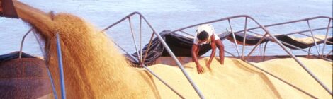 Hidrovias do Arco Norte consolidam-se como eixo estratégico para o agronegócio