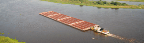 Governo federal suspende contratação de empresa para dragar Rio Tapajós