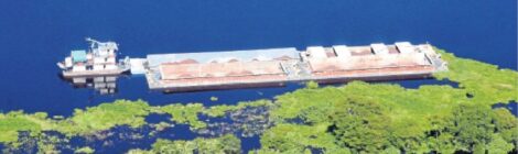 Maersk altera escalas em rotas fluviais na América do Sul por causa do nível baixo no Rio Paraguai