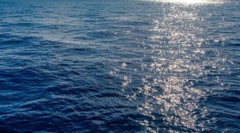 Petrobras exerce direito de preferência para 100% do campo de Tartaruga Verde e do módulo III de Espadarte