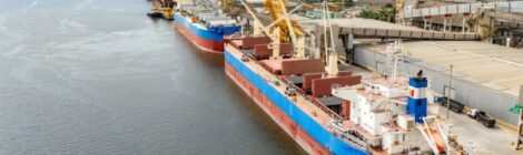 Porto de Paranaguá registra maior operação de cevada em um único navio