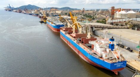 Porto de Paranaguá registra maior operação de cevada em um único navio