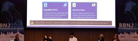 Efeitos da emergência climática no oceano preocupam pesquisadores