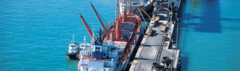 Terminal da VLI em Sergipe registra volume recorde no desembarque de um navio