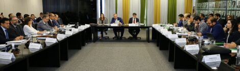 CNPE aprova diretrizes sobre aproveitamento do potencial eólico offshore