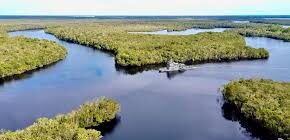 Marinha integra Operação “Ágata Amazônia 2026” no combate a ilícitos no Rio Negro (AM)