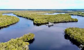 Marinha integra Operação “Ágata Amazônia 2026” no combate a ilícitos no Rio Negro (AM)