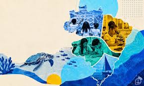 Cultura oceânica invade escolas brasileiras