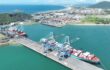 Santos Brasil implanta novo sistema operacional no Tecon Imbituba