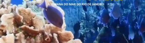 Rio Ocean Week reúne Economia Azul, ciência e indústria offshore no Rio